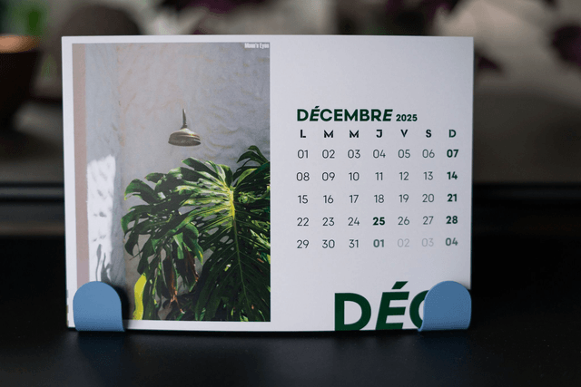 Support pour calendrier patères adhésives murales bleues