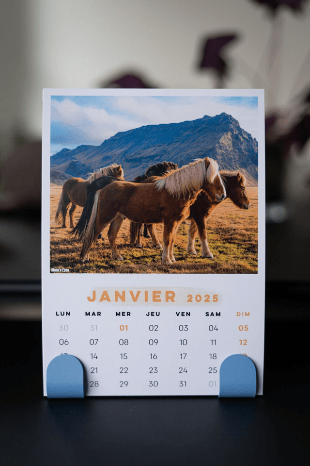 Support pour calendrier patères adhésives murales bleues